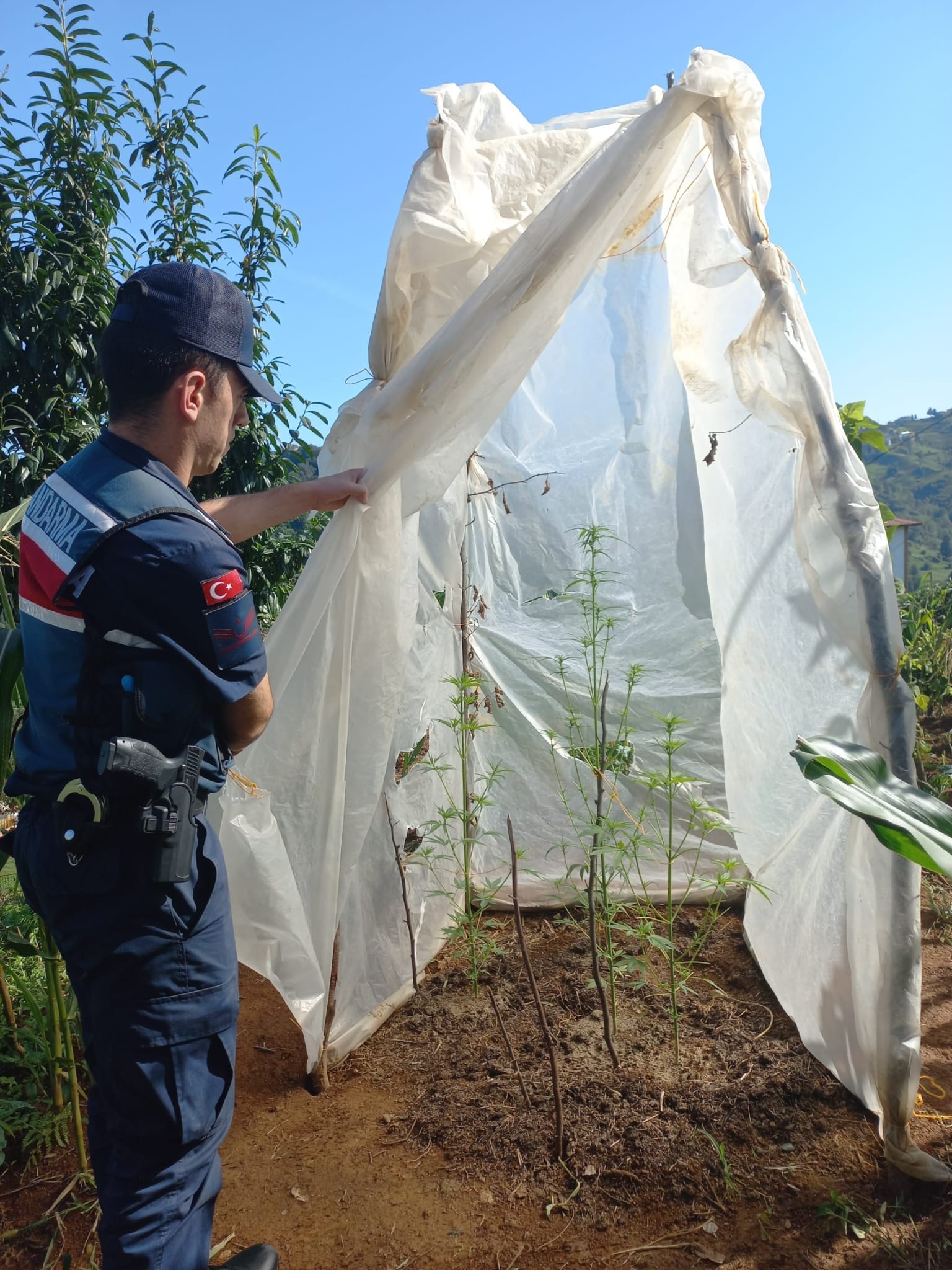 Trabzon'da uyuşturucu operasyonu! 1 gözaltı