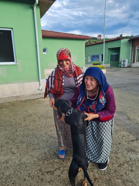 Trabzon Büyükşehir'den, sahipsiz canlara özel ilgi