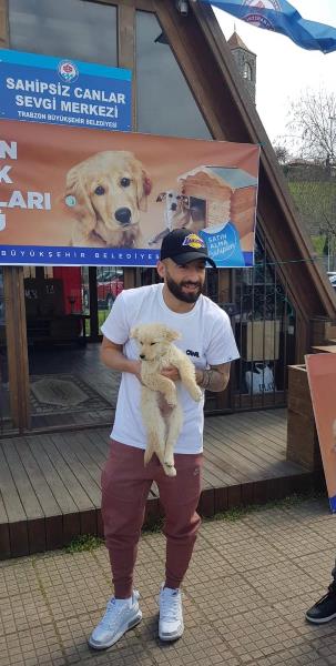 Trabzon Büyükşehir'den, sahipsiz canlara özel ilgi