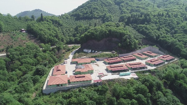 Trabzon Büyükşehir'den, sahipsiz canlara özel ilgi