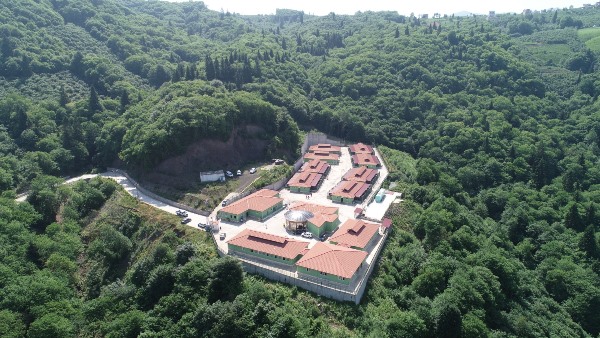 Trabzon Büyükşehir'den, sahipsiz canlara özel ilgi