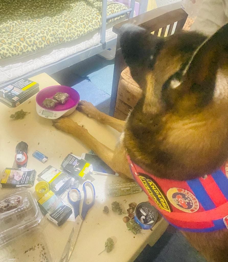 Trabzon’da uyuşturucu operasyonu! Tam 10 Kilo yakalandı