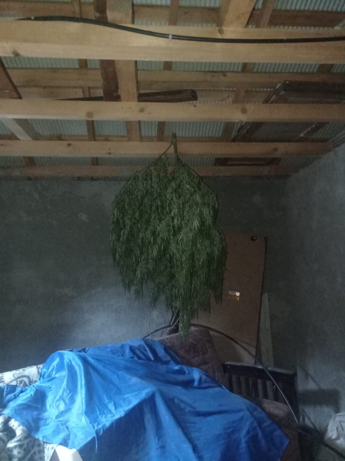 Trabzon’da uyuşturucu operasyonu! Tam 10 Kilo yakalandı