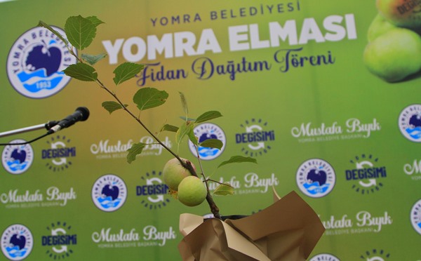 Her evin bahçesine Yomra elması