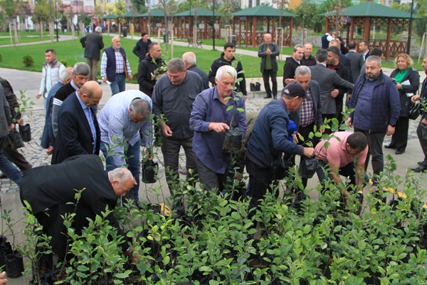 Her evin bahçesine Yomra elması