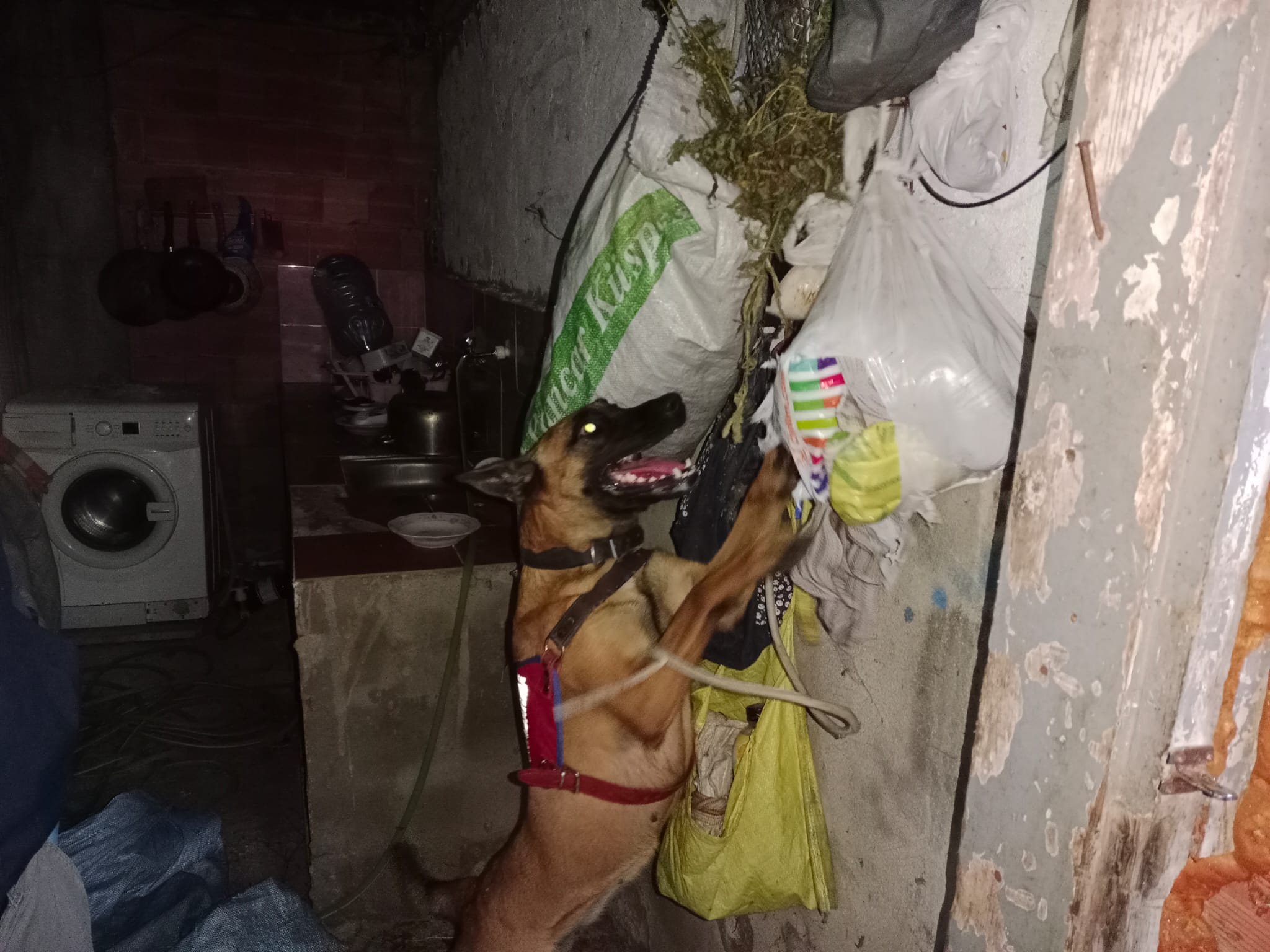 Trabzon’da jandarmadan uyuşturucu operasyonu!