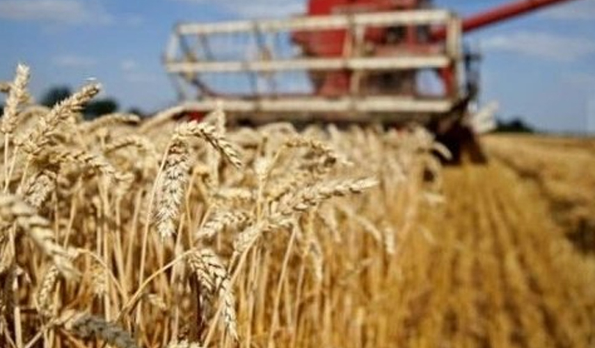 Milyonlarca çiftçiyi ilgilendiren karar! 2022 yılı tarım destekleri belli oldu