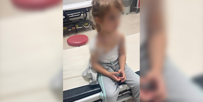 Samsun'da iki köpeğin saldırdığı anne-kız ucuz kurtuldu