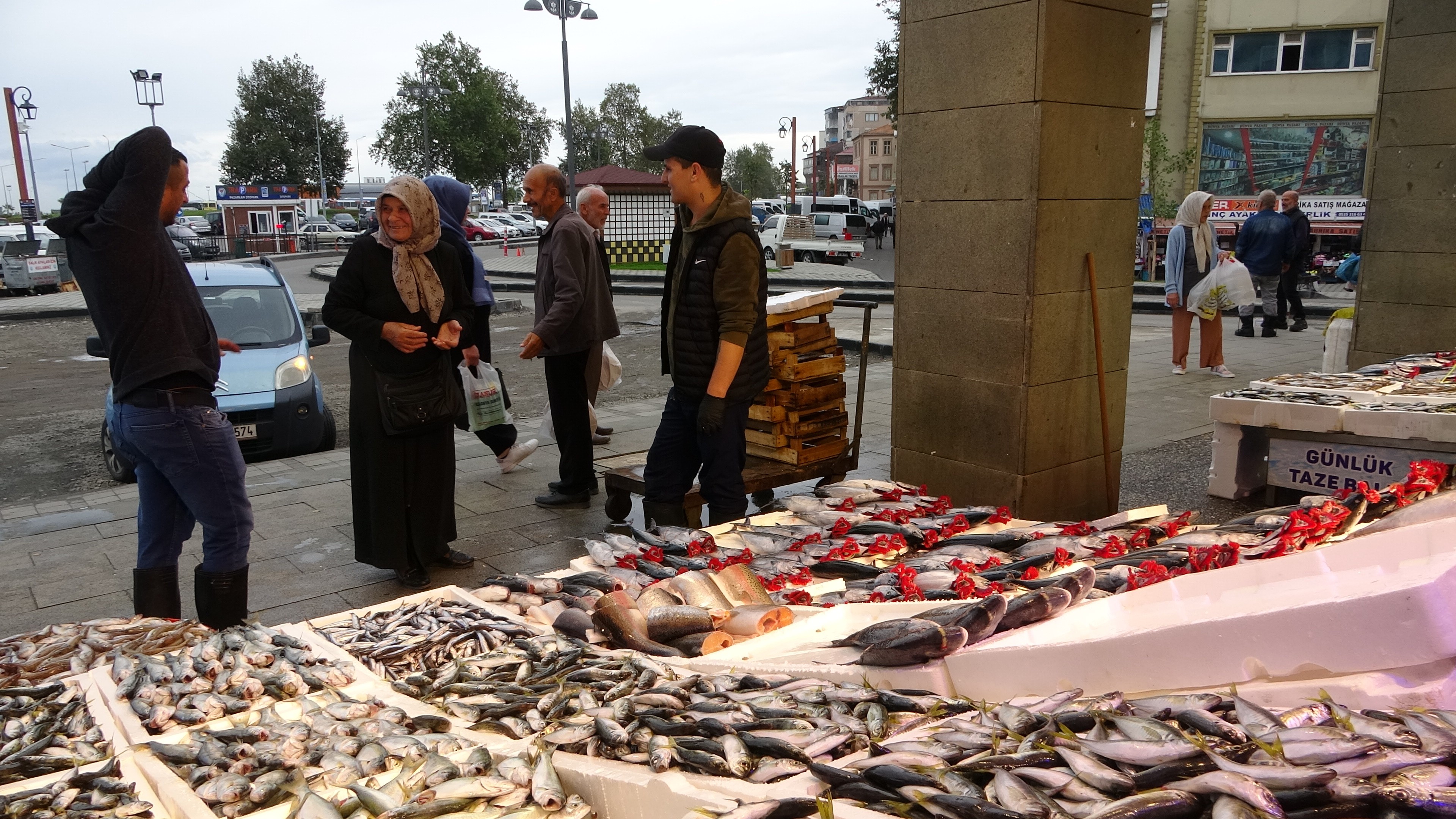 Trabzon'da balıkçılar denize açılamadı! Palamut fiyatlarına yansıdı