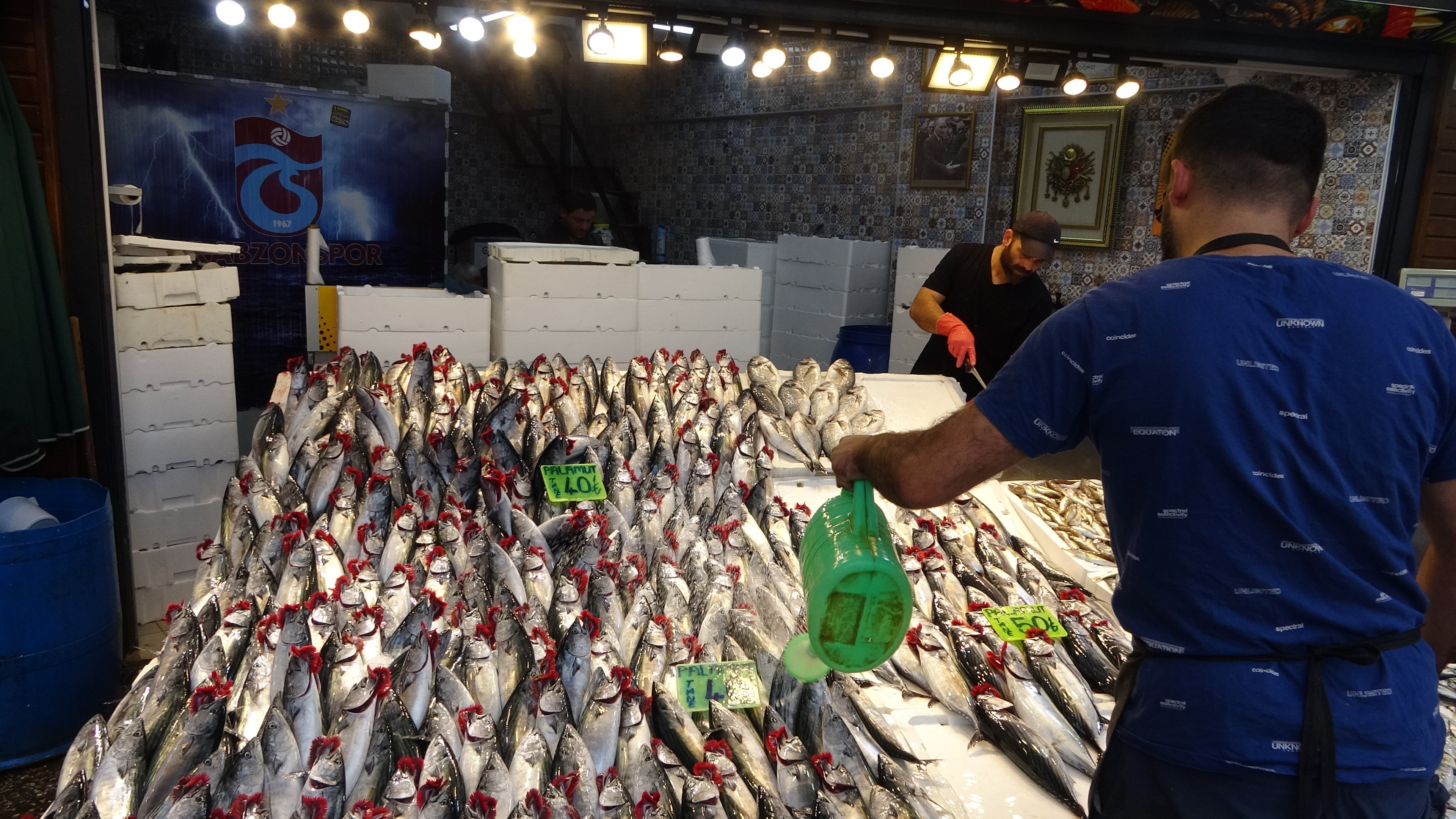 Beklenen palamut göçü sonunda gerçekleşti