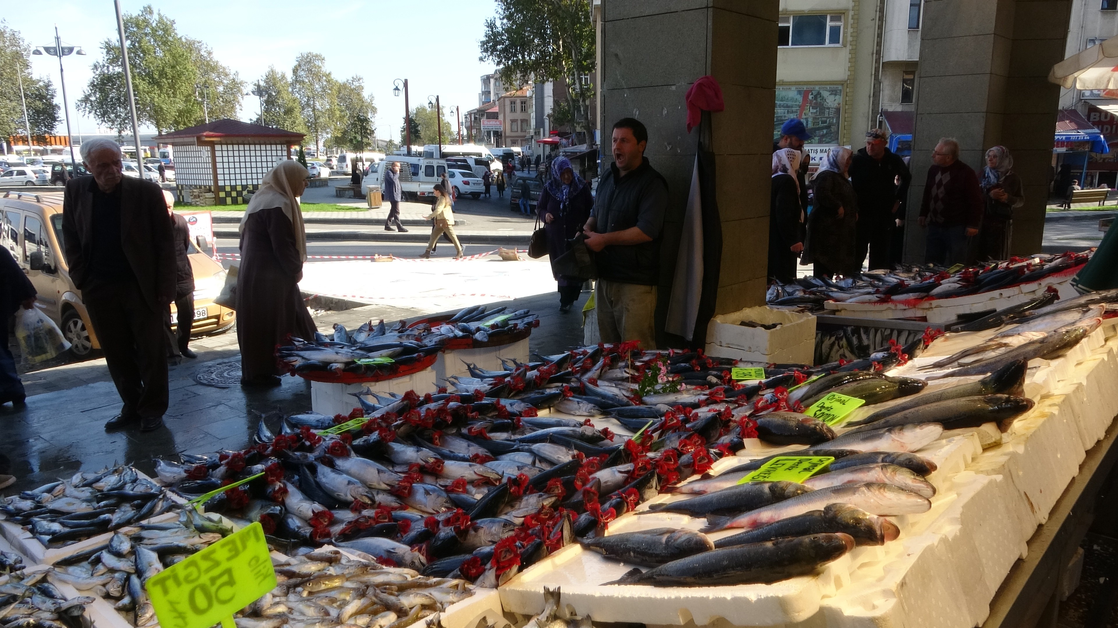 Karadeniz halkı bu sene palamuda doydu