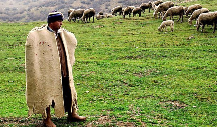 Milyonlarca çiftçiyi ilgilendiren karar! 2022 yılı tarım destekleri belli oldu