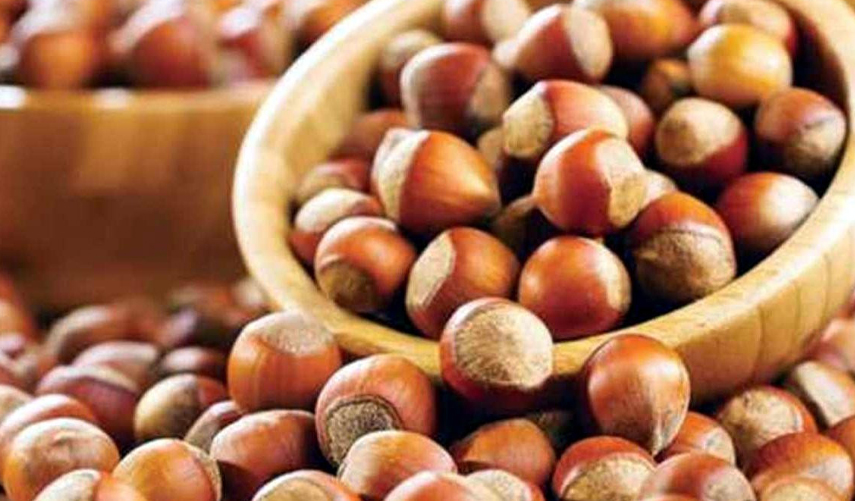 Milyonlarca çiftçiyi ilgilendiren karar! 2022 yılı tarım destekleri belli oldu