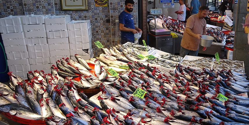 Trabzon'da tezgahlar palamutla doldu