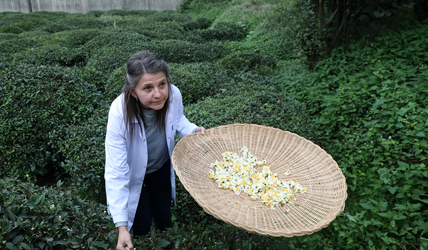 Türk çayının yeni tadı "çiçek çayı" raflarda yerini aldı