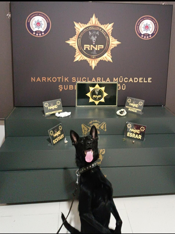 Rize'de uyuşturucu operasyonu: 1 tutuklama