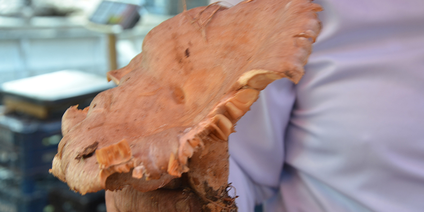 Ordu'da fındık tirmiği tezgahlarda yerini aldı