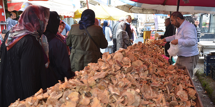 Ordu'da fındık tirmiği tezgahlarda yerini aldı