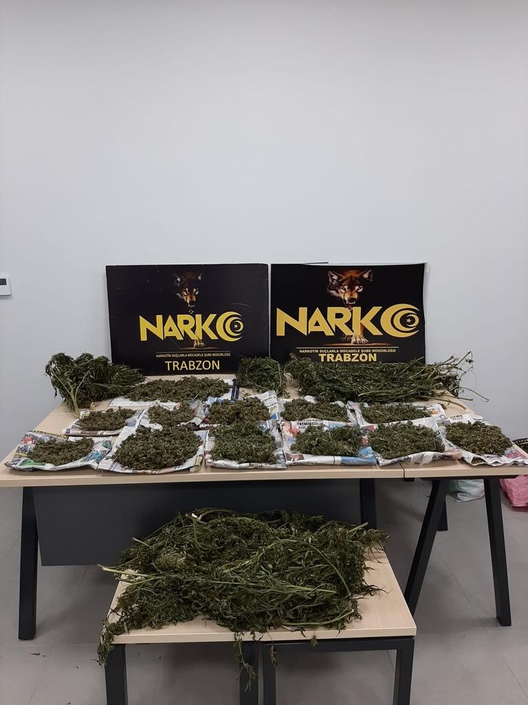 Trabzon yatağın üzerinde kuruttuğu esrar ile yakalandılar