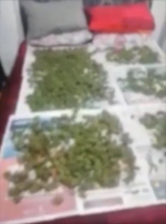 Trabzon yatağın üzerinde kuruttuğu esrar ile yakalandılar