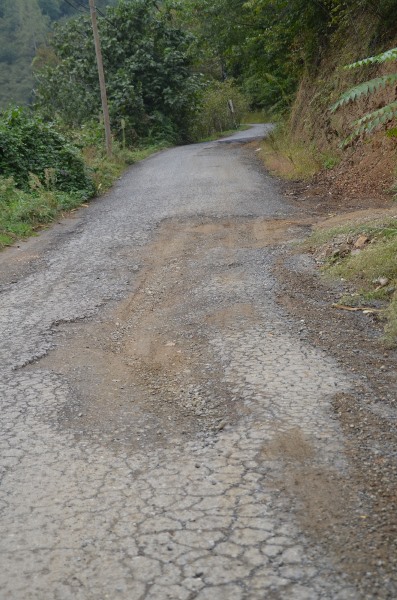 Trabzon'da Şanlı-Pınarlı yolu hizmet bekliyor