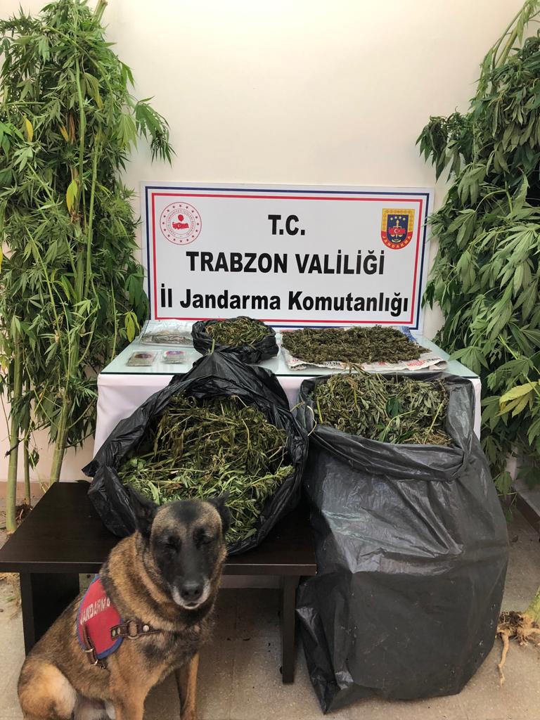 Trabzon’da Jandarma’dan 9 ayda 178 operasyon yapıldı