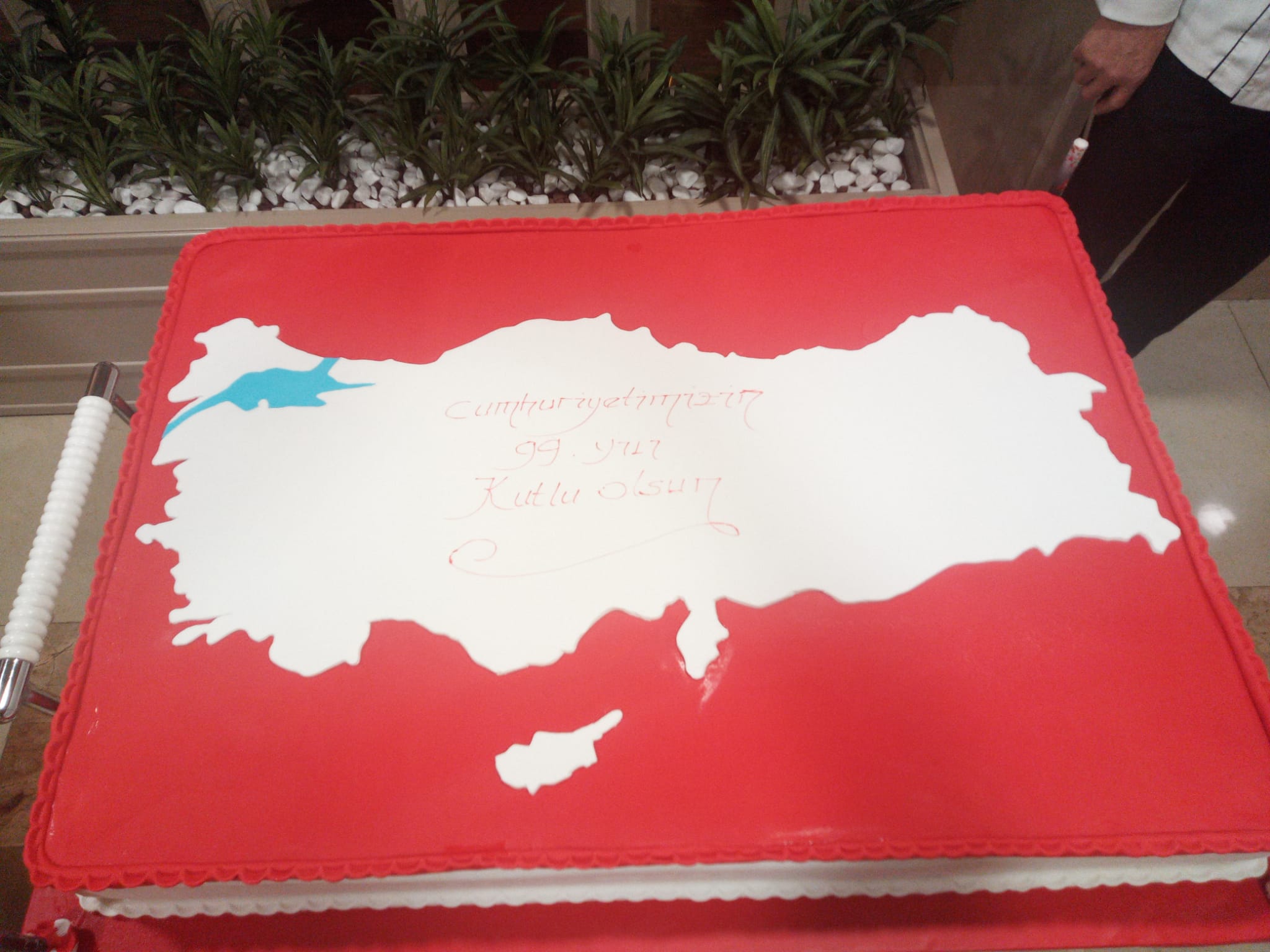 WhatsApp Image 2022-10-29 at 18.54.58