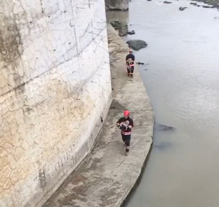 Trabzon'da mahsur kalan köpekleri itfaiye kurtardı