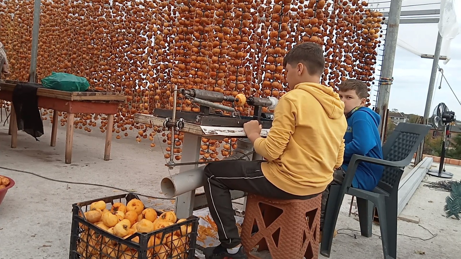 Samsun'da iki kardeş, ailesinin işini kolaylaştırmak için hurması soyma makinesi yaptı