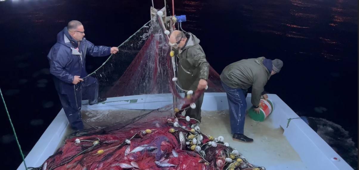 Trabzon'da balıkçıların denizanası çilesi