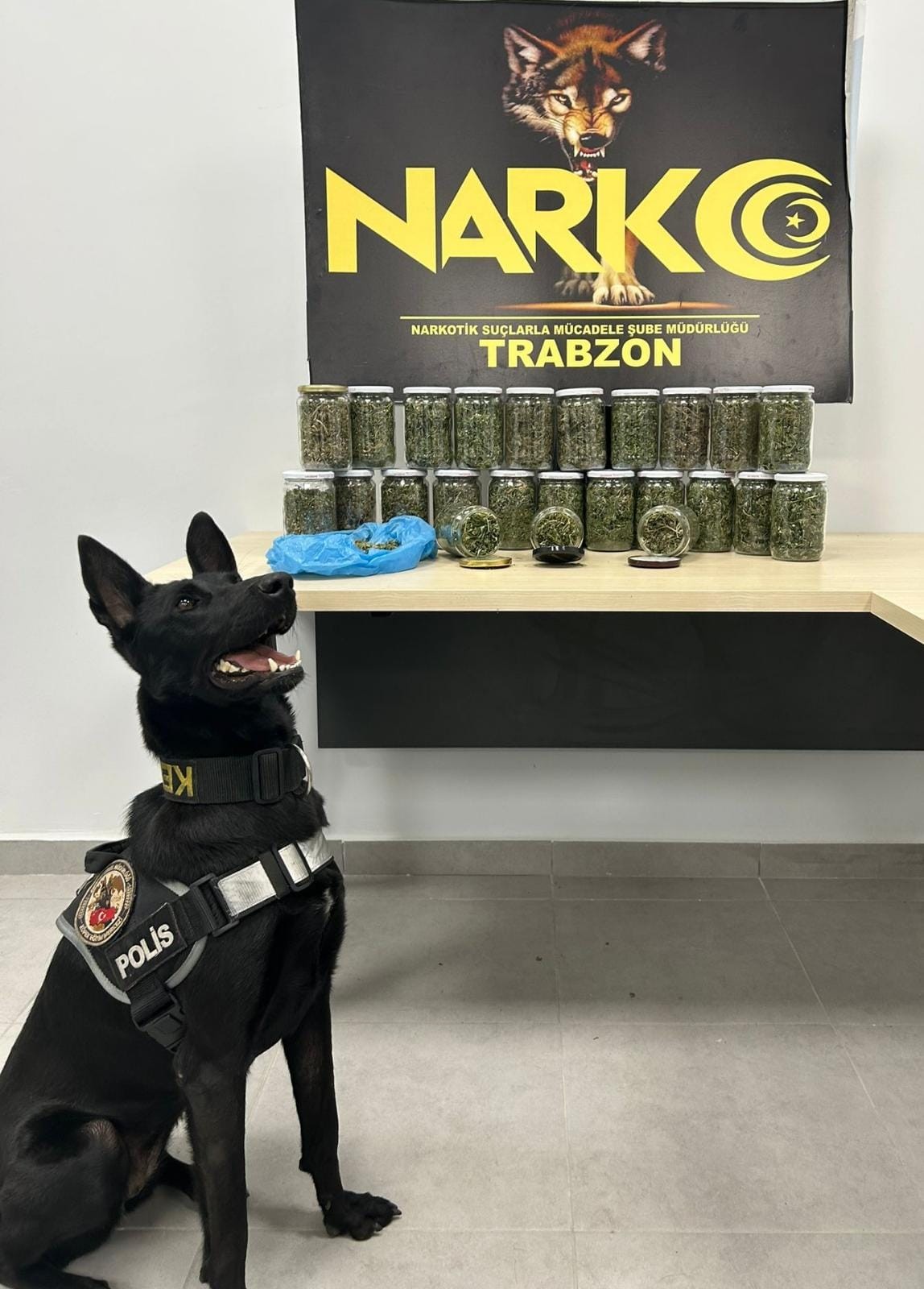 Trabzon'da narkotik köpeği 'İda' iş başında