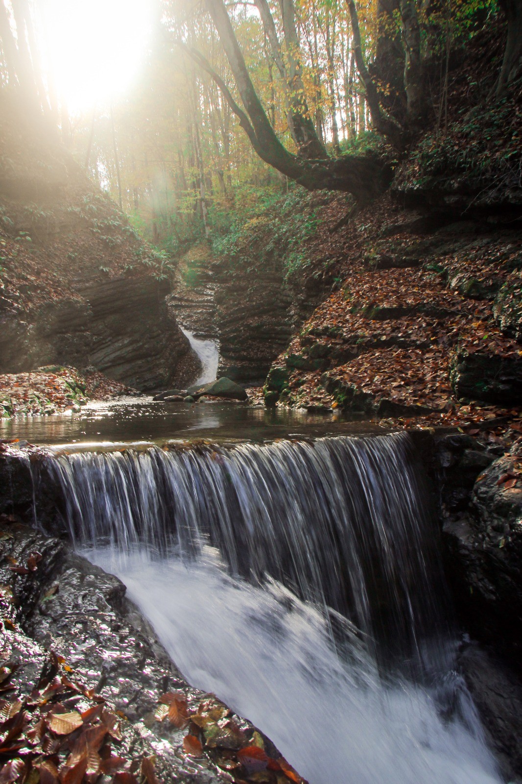 Trabzon'da saklı cennet ziyaretçileri büyülüyor