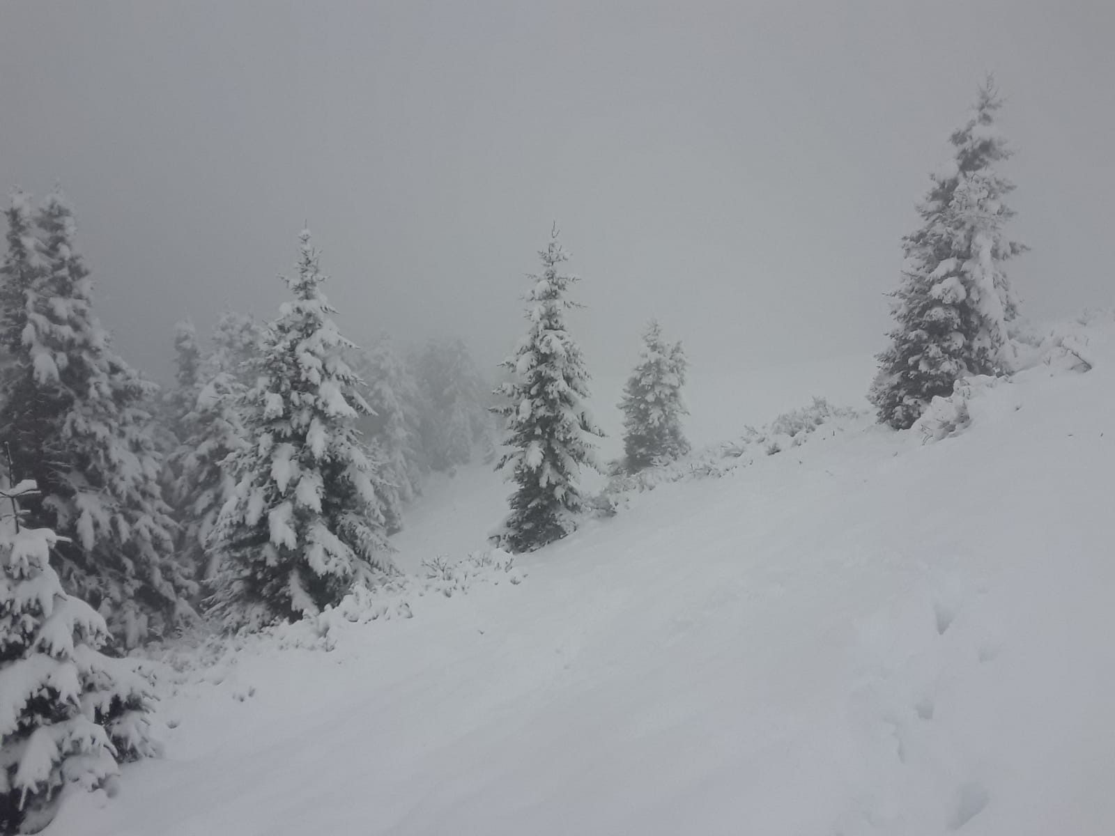 Giresun'un yüksek kesimleri karla kaplandı