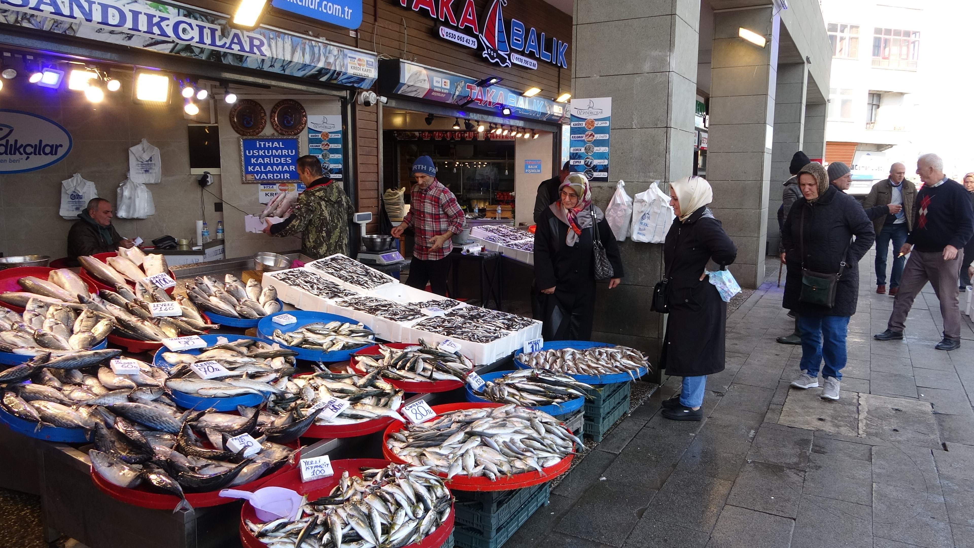 Karadeniz'de palamuttan sonra hamsi bereketi 
