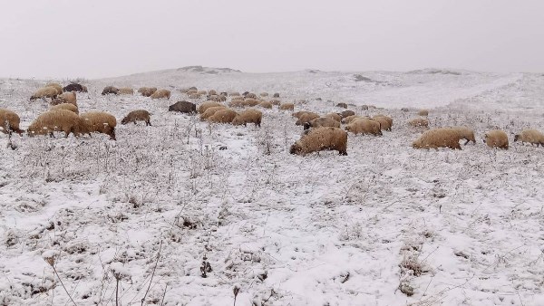 Bayburt’un yüksek kesimlerine kar yağdı