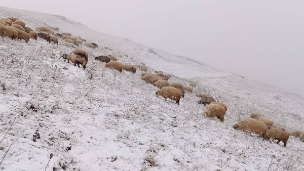 Bayburt’un yüksek kesimlerine kar yağdı