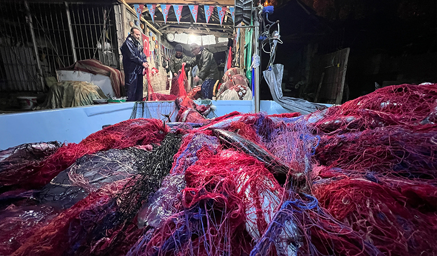 Trabzon'da balıkçıların denizanası çilesi