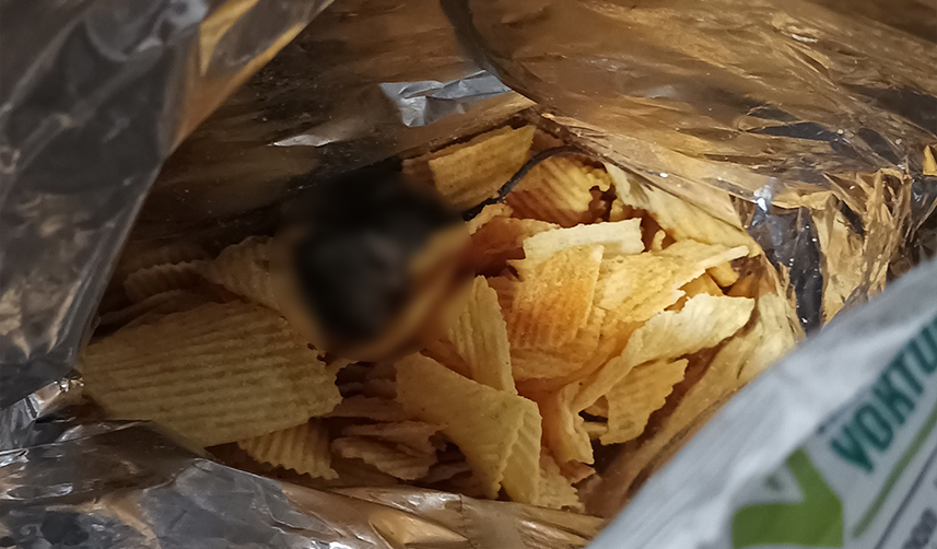 Trabzonlu bir kişinin aldığı cipsten fare çıkmıştı, mahkemeden şaşırtan karar