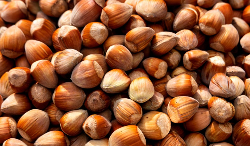 Fındık yine zirvede! 592 Milyon Dolar döviz