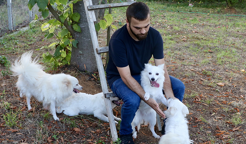 Trabzon'a özgü "zerdava" ve "Tonya finosu" ırklarının gen haritası çıkarılıyor