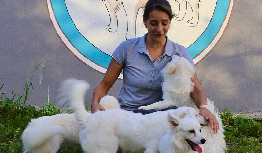 Trabzon'a özgü "zerdava" ve "Tonya finosu" ırklarının gen haritası çıkarılıyor