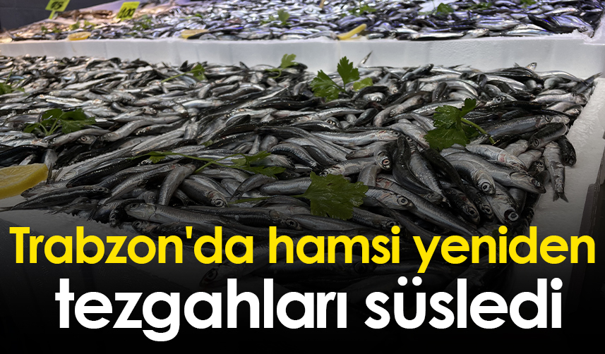 Trabzon'da hamsi yüzünü gösterdi! İşte hamsi fiyatı