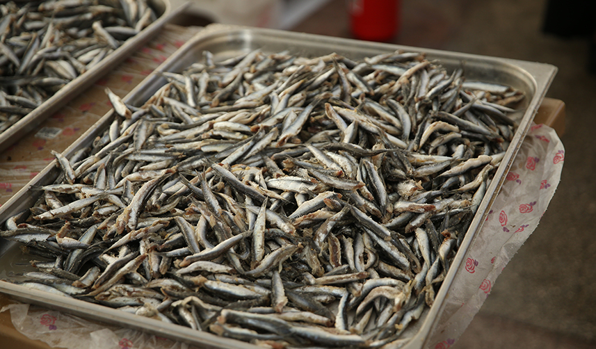 Ordu'daki festivalde 10 ton hamsi tüketildi