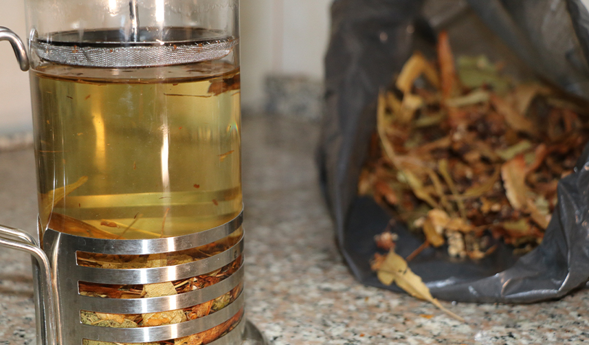 Kış aylarının vazgeçilmez bitkisi bağışıklık için önemli ama cep yakıyor!