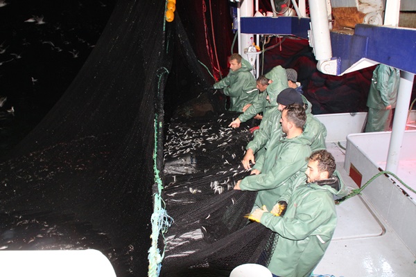 Karadeniz için önemli uyarı! Deniz suyu ısınıyor