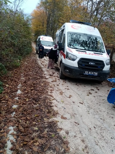 Ordu'da pat pat kazası! 2 kişi yaralı