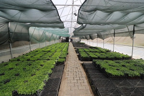 Türkiye Yüzyılı’na Akçaabat’tan tam destek