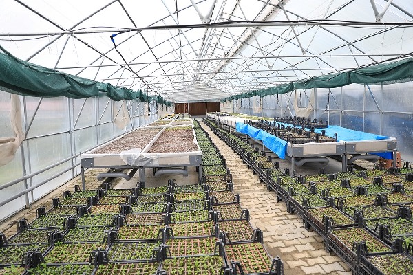 Türkiye Yüzyılı’na Akçaabat’tan tam destek