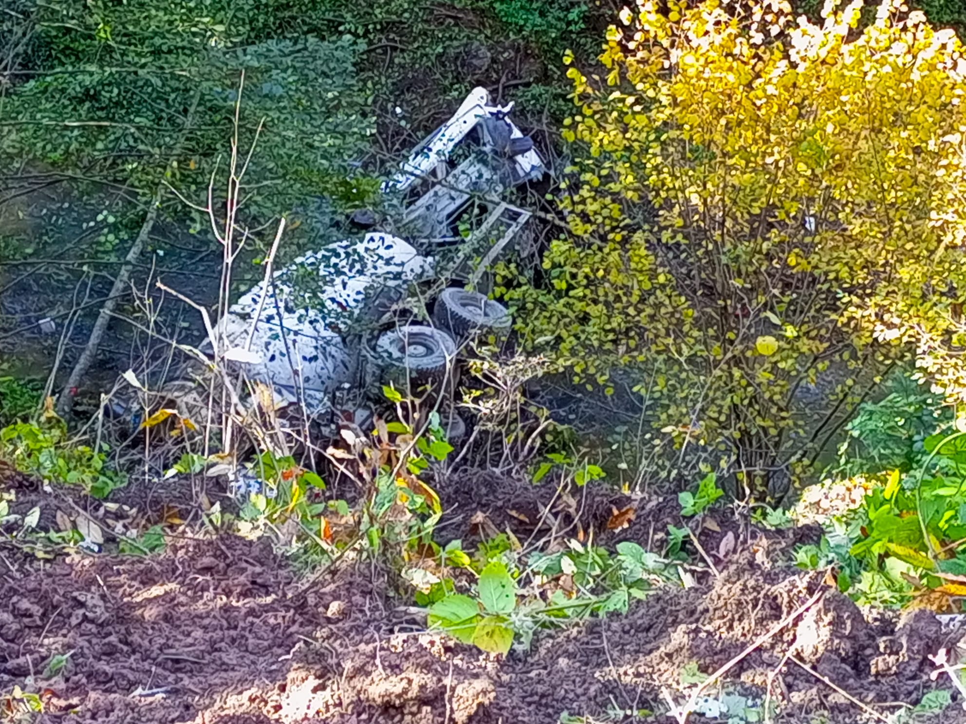 WhatsApp Image 2022-11-11 at 12.06.49