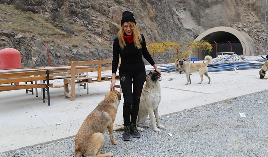 Sular altında kalacak olan Yusufeli’nde sokak hayvanları da taşınıyor